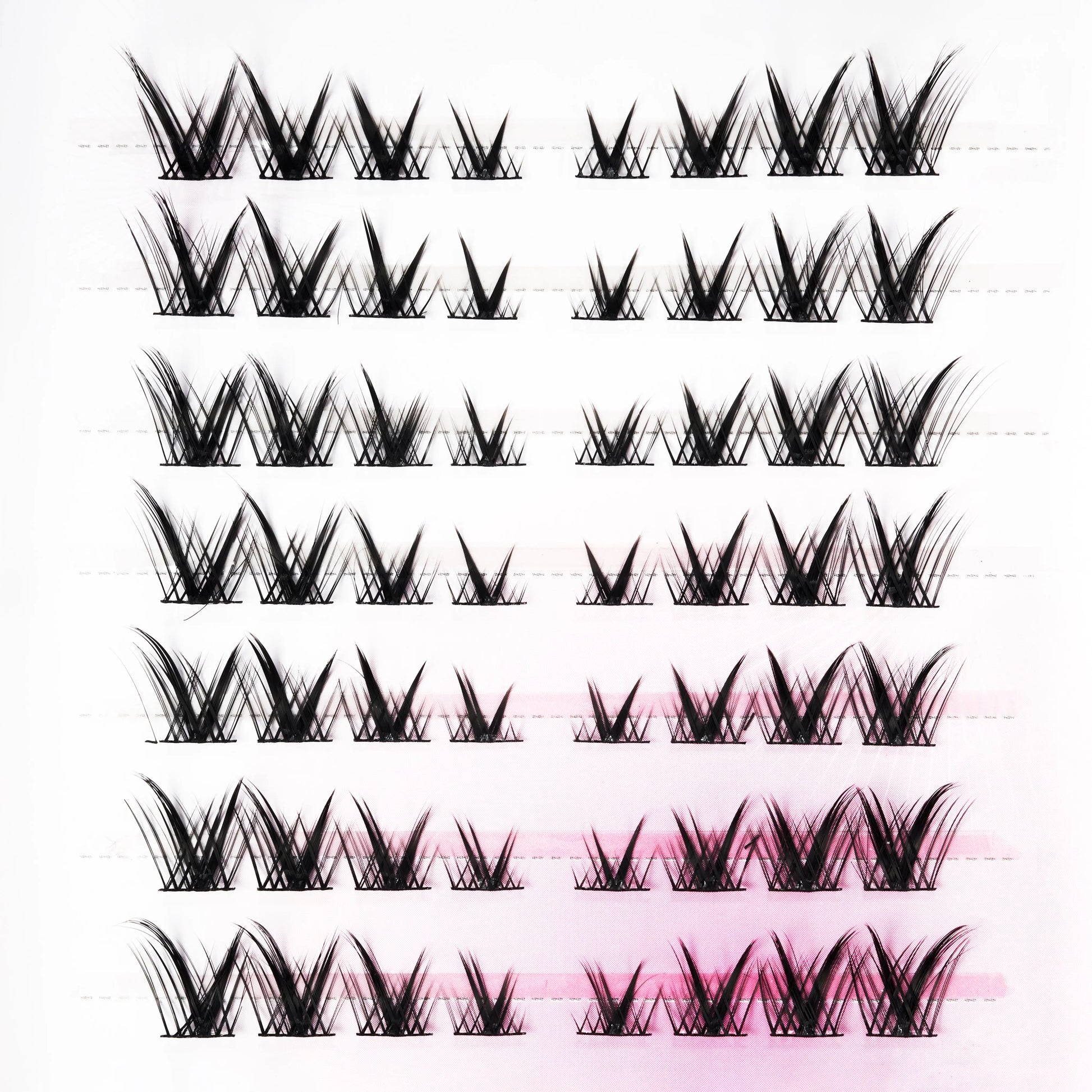 Bird Feather Emily's Nail