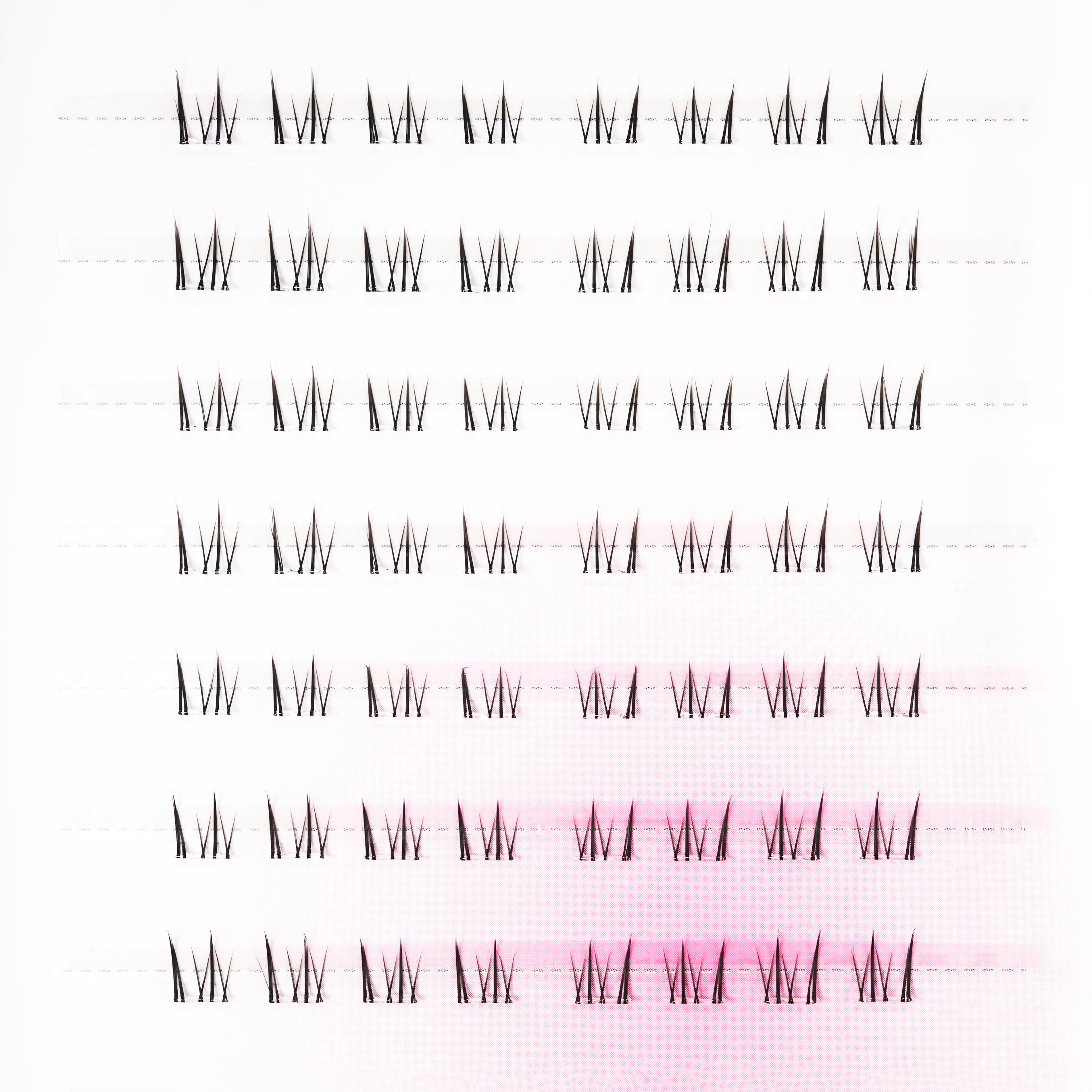 Little White Fox Emily's Nail