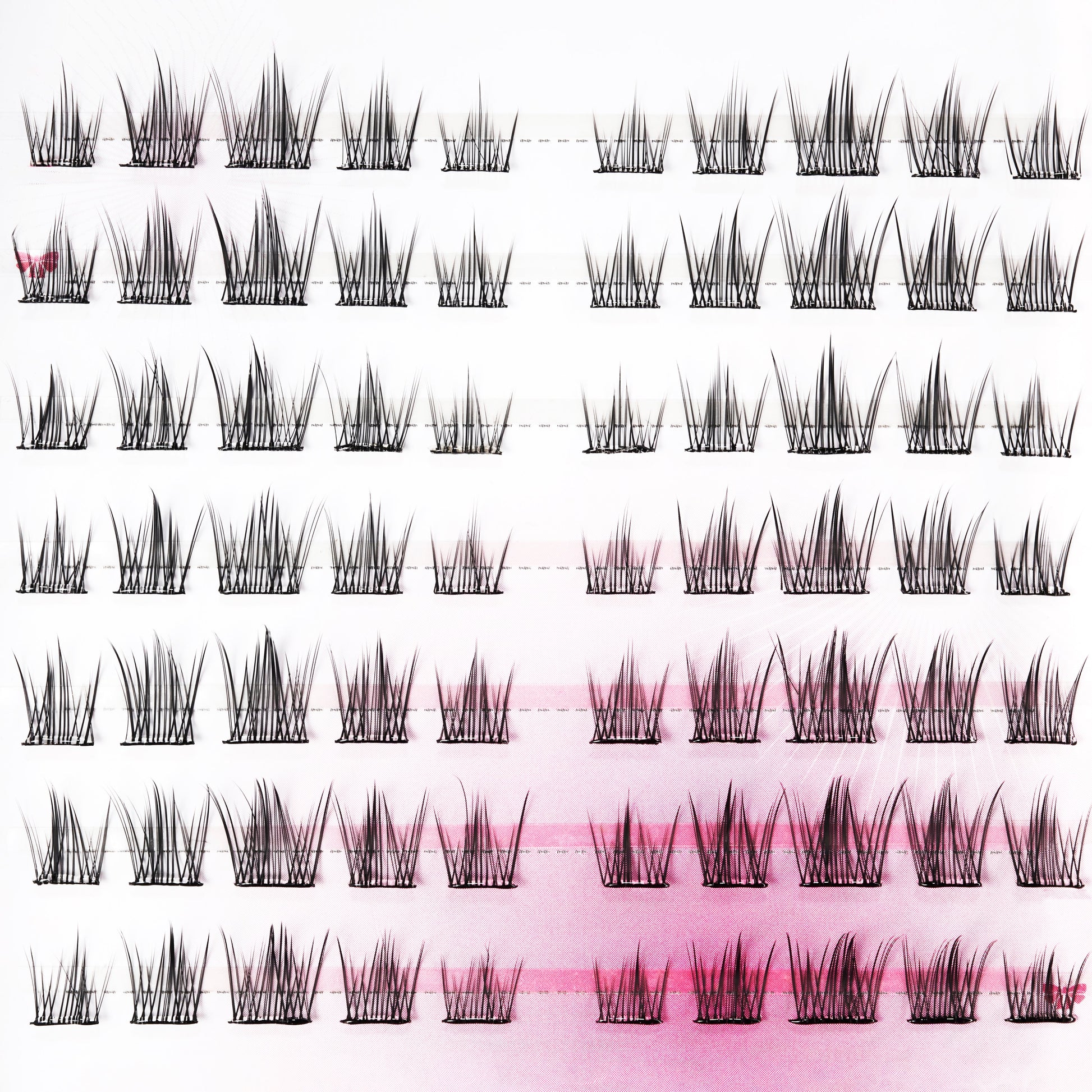 Rabbits Have Big Eyes Emily's Nail