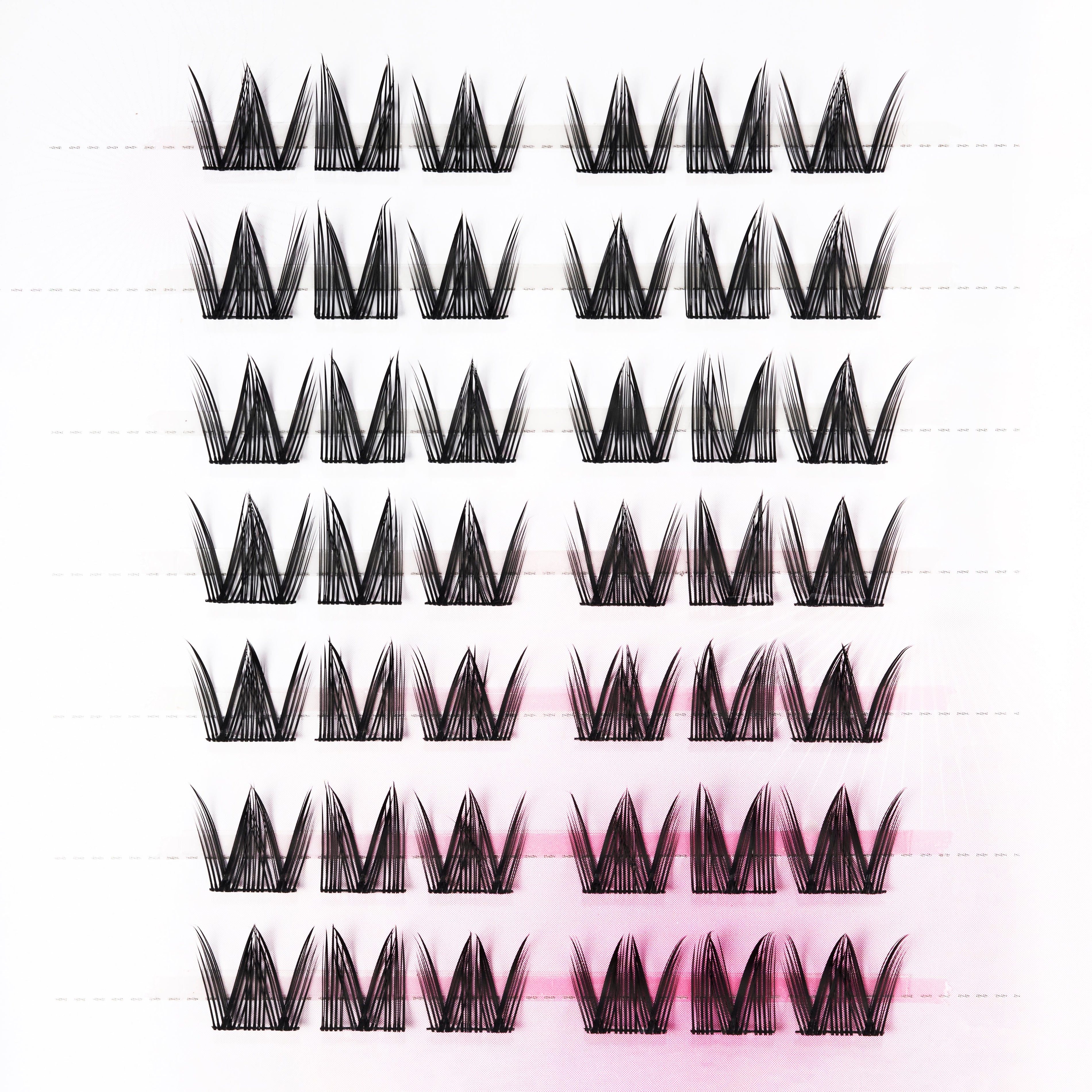 Sweet Cat Emily's Nail