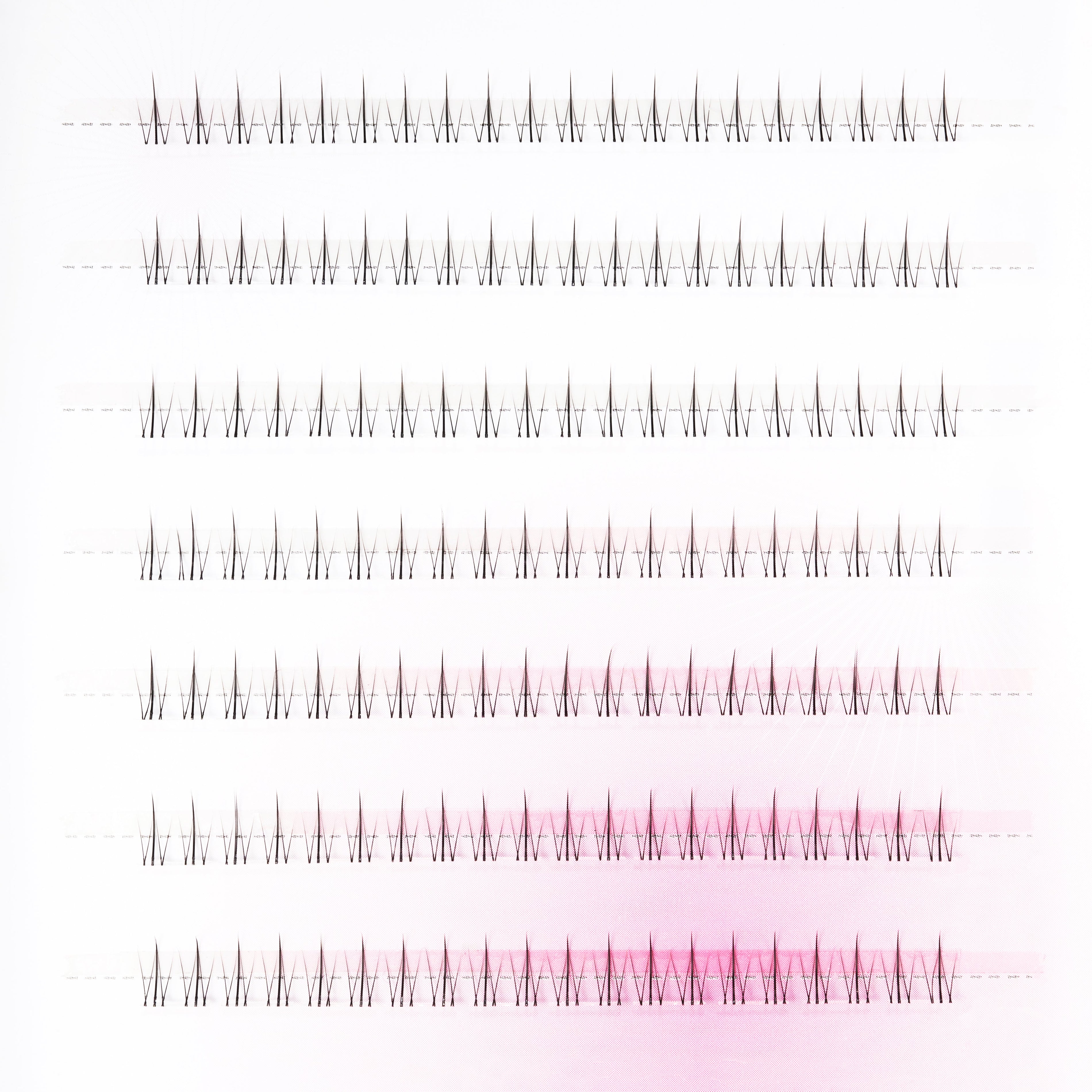 Tiny Flame Emily's Nail