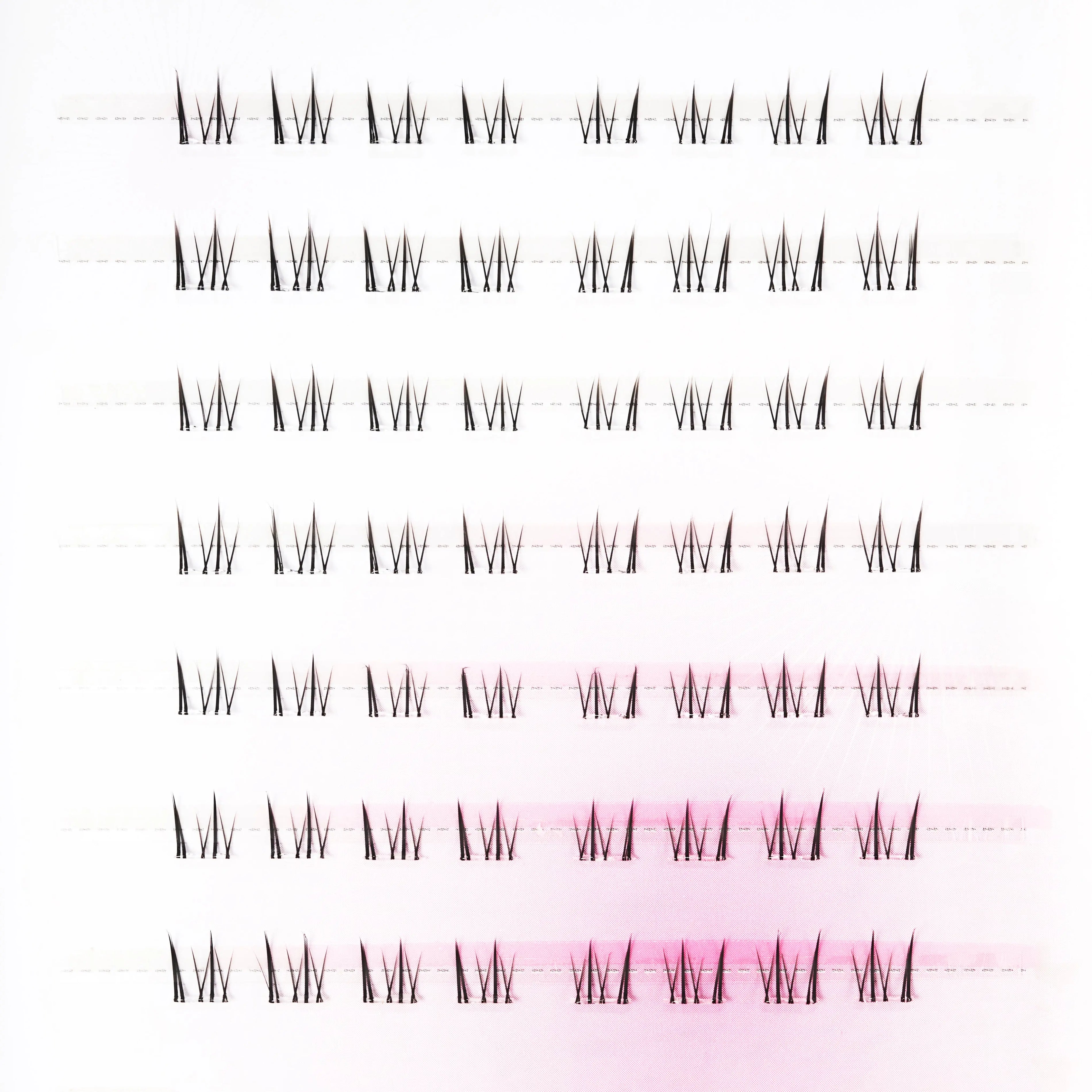 Little White Fox Emily's Nail