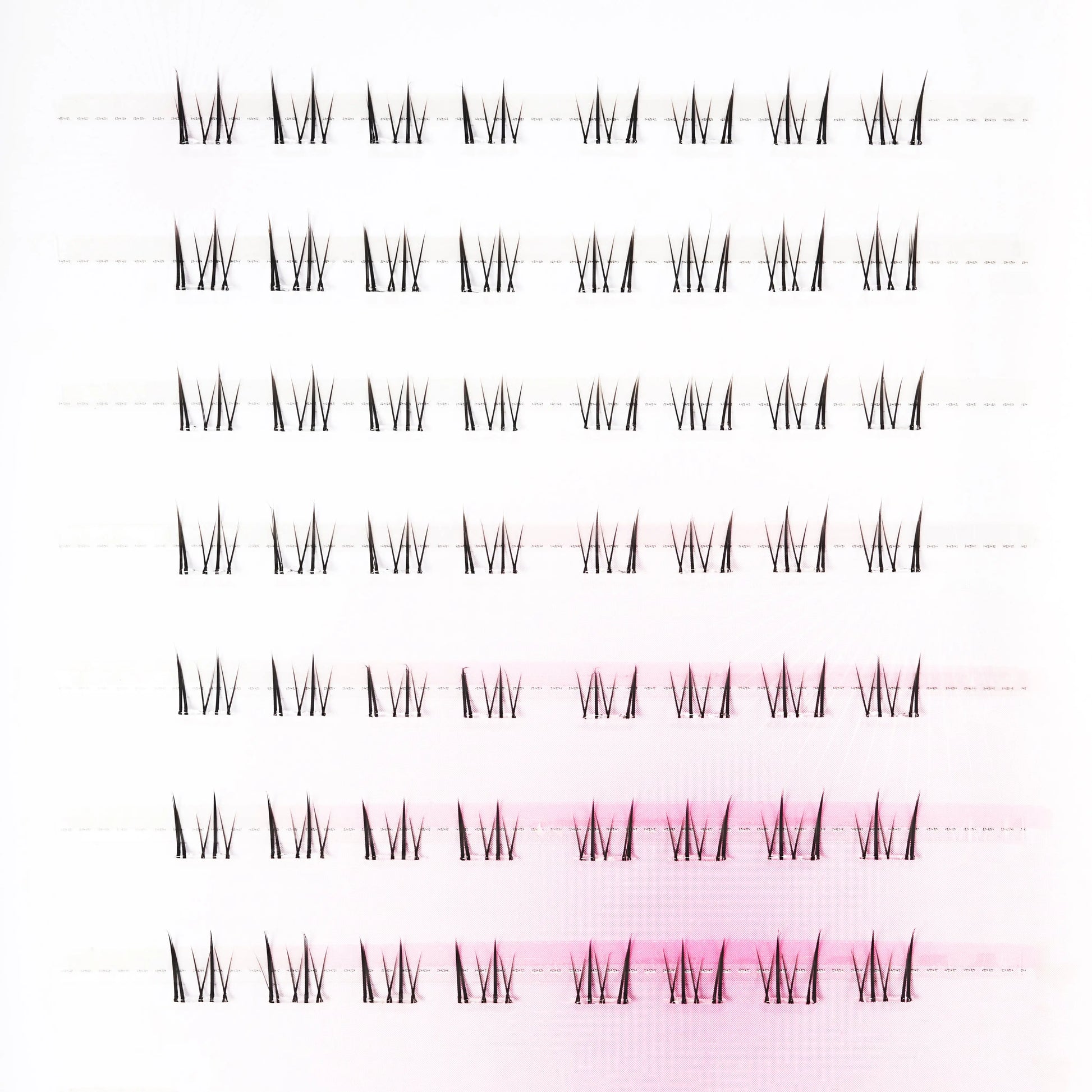 Little White Fox Emily's Nail