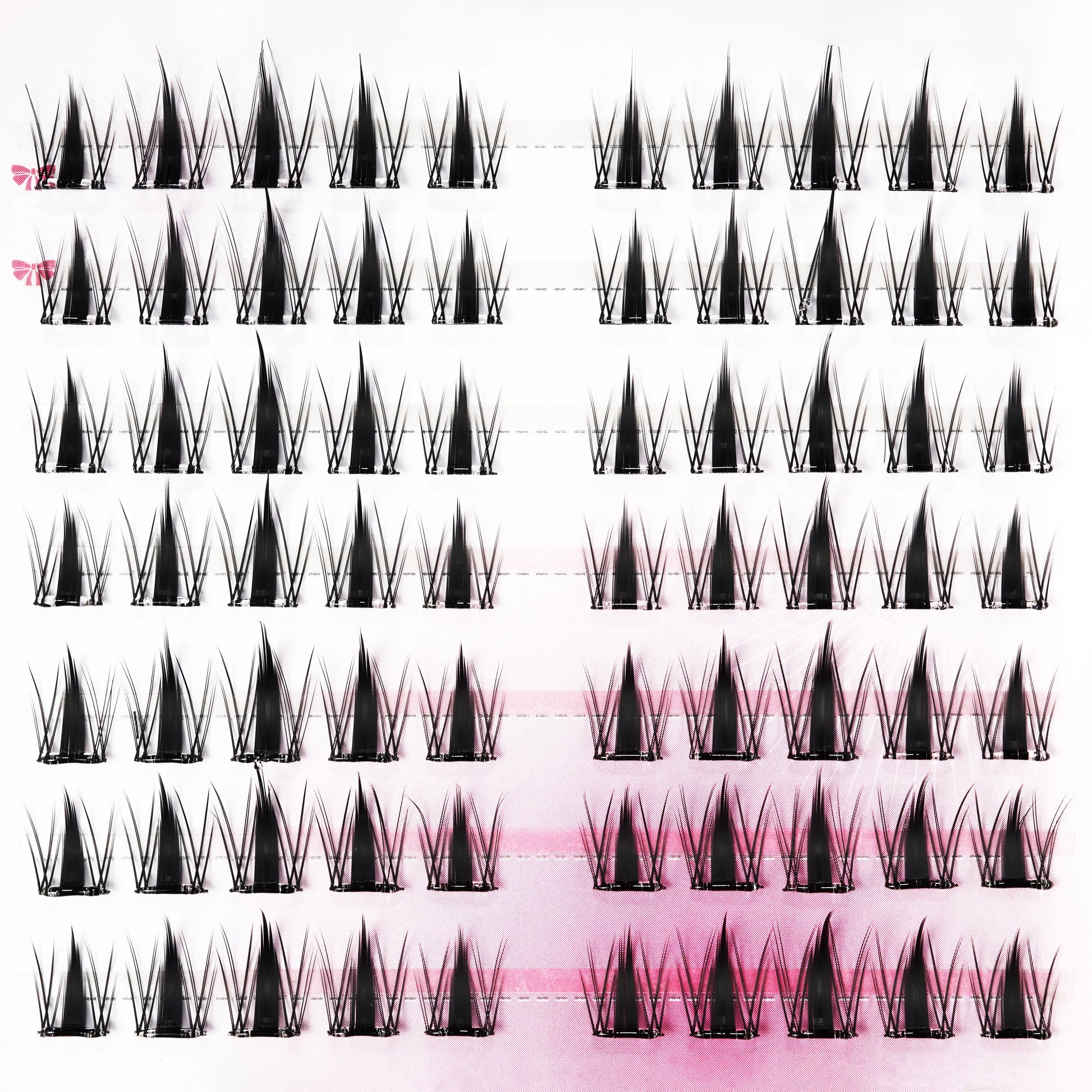 Little Wild Rabbit Emily's Nail