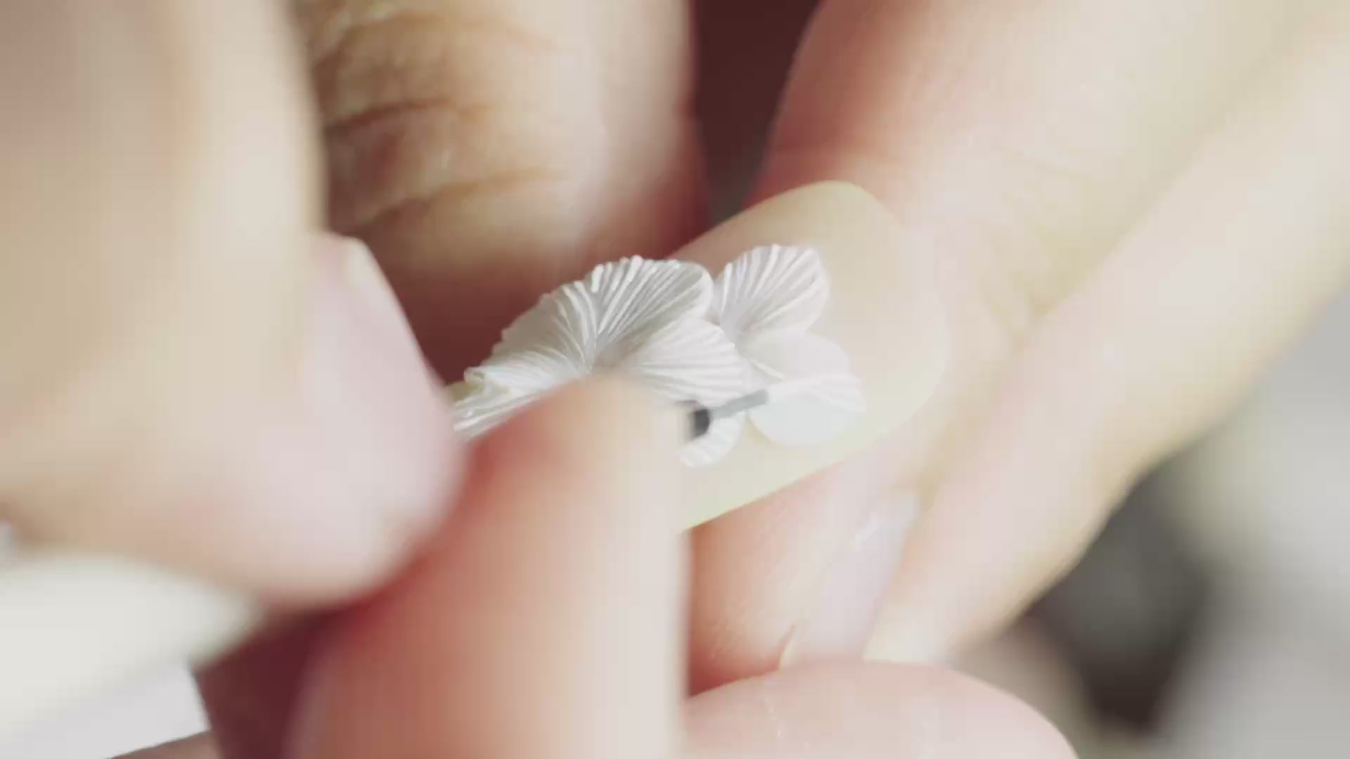 Elegance Crafted to Perfection